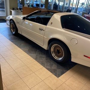 Meet your Posher, Caleb